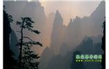 張家界國家森林公園、寶峰湖/黃龍洞、鳳凰古城、三峽八日游